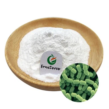 Lactobacillus Fermentum probiotic