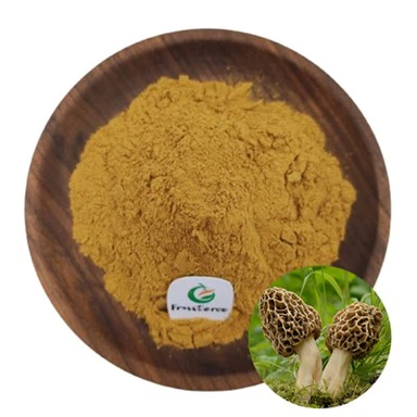 Morchella 추출물
